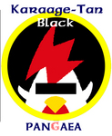 karaage_black.jpg