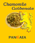 rabel_chamomile.jpg