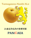rabel_nashi.jpg